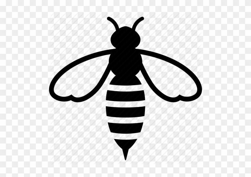 Avispa Para Colorear Clipart Bee Clip Art - Bee Clipart Black And White ...