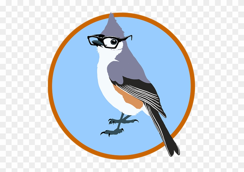 Jay Clipart Birdy - Tufted Titmouse #1361244