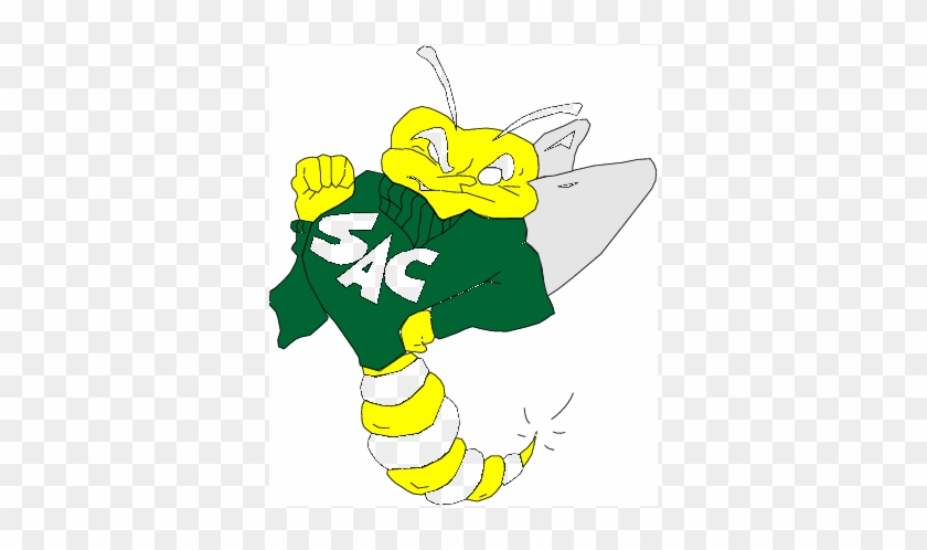 Sacramento State Hornets - Sacramento State Hornets #1362323