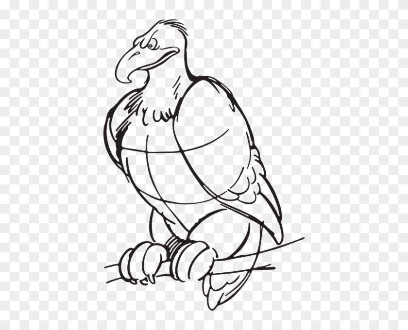 Vulture Eps Vector, Vector Clipart, Multiple Images, - Line Art #1366595