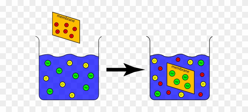 Ion Exchange Capacity Experiment Png Clip Arts For - Ion Exchange Capacity Experiment Png Clip Arts For #1368598