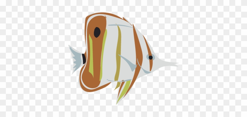 Its Fish Week On Inaturalist Feb - Illustration #1368938