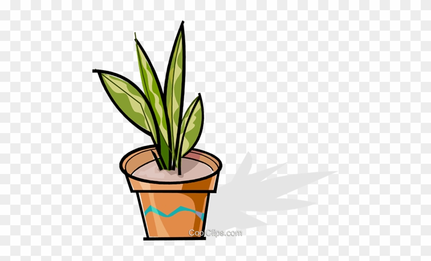 Potted Plant Royalty Free Vector Clip Art Illustration - Vector ...