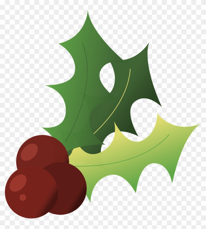 Holly Christmas Winter - Acebo Navidad Fondo Blanco Gratis #1373765