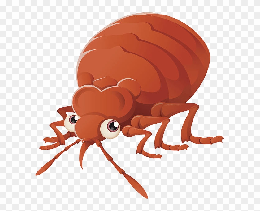 Bed Bug Png - Bug Cartoon No Background #1376713