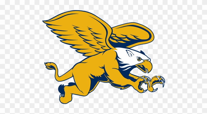 Canisius Golden Griffins #1377976