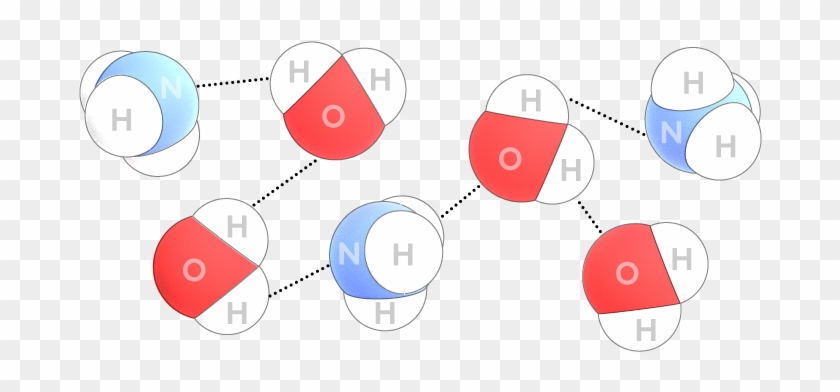 Ammonia Fountain Hydrogen Bonds - Ammonia Soluble In Water #1381165