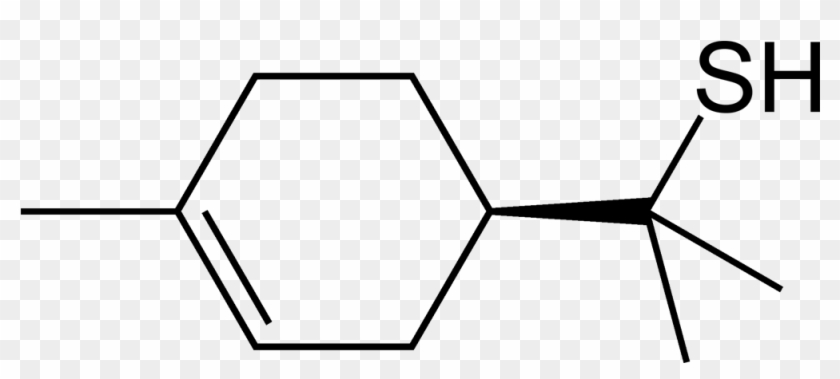 Grapefruit Mercaptan 2d Skeletal - Alpha Terpineol #1382592