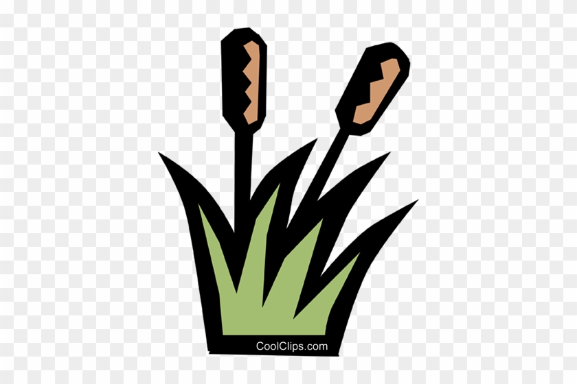 Cattails Royalty Free Vector Clip Art Illustration - Ourboox #1384262