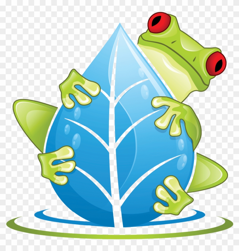 Frog Falling Down Png #1386507