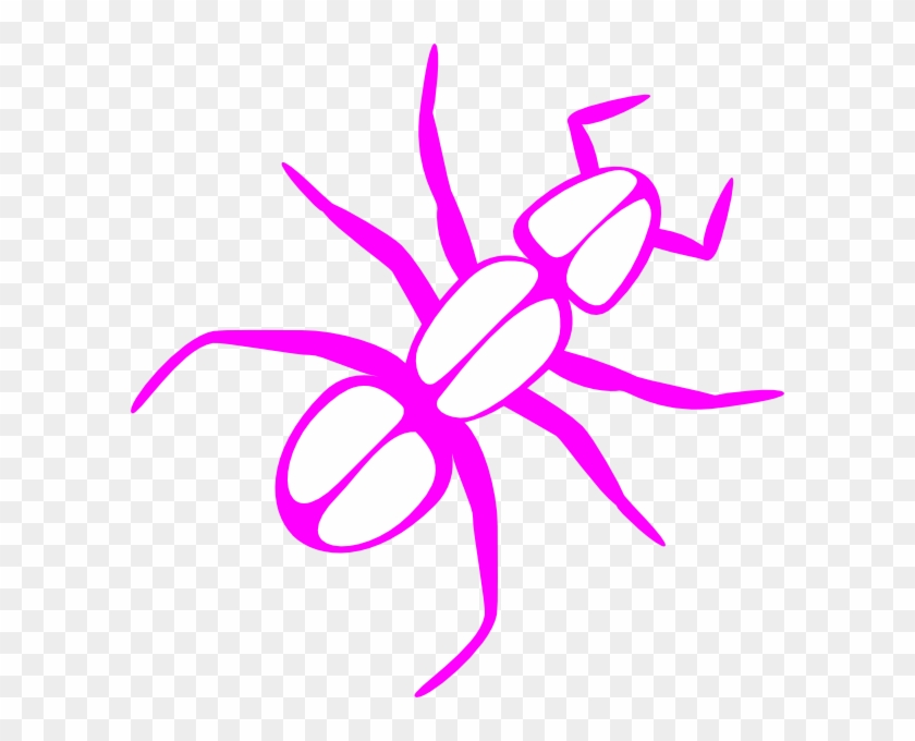 Ant Outline Pink Clip Art - Ant Clip Art #217387