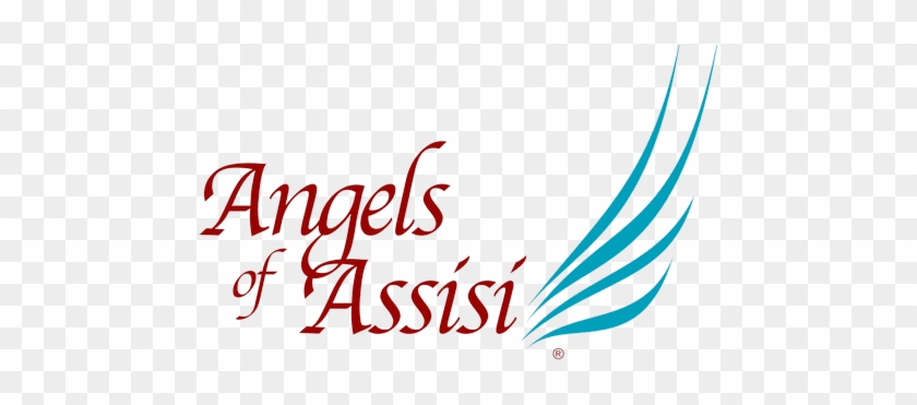 Angels Of Assisi #1391377