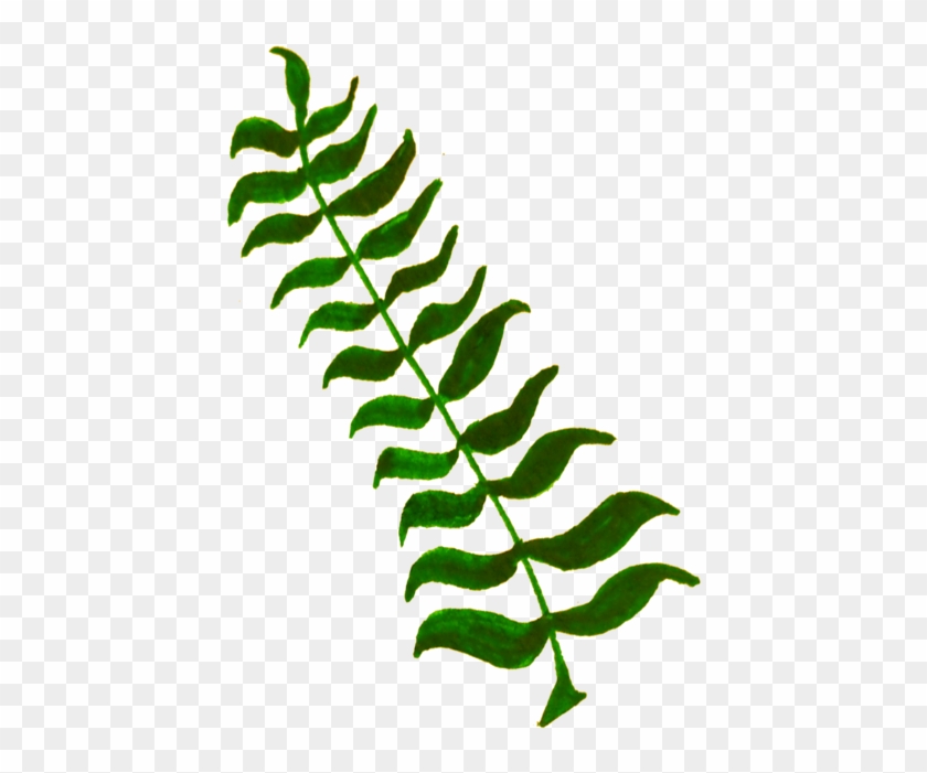 All Photo Png Clipart - Leaves And Twigs Png #1391535