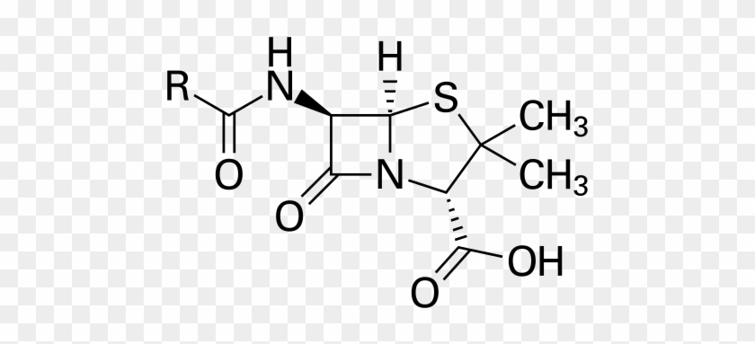 Penicillin Structure #1392324