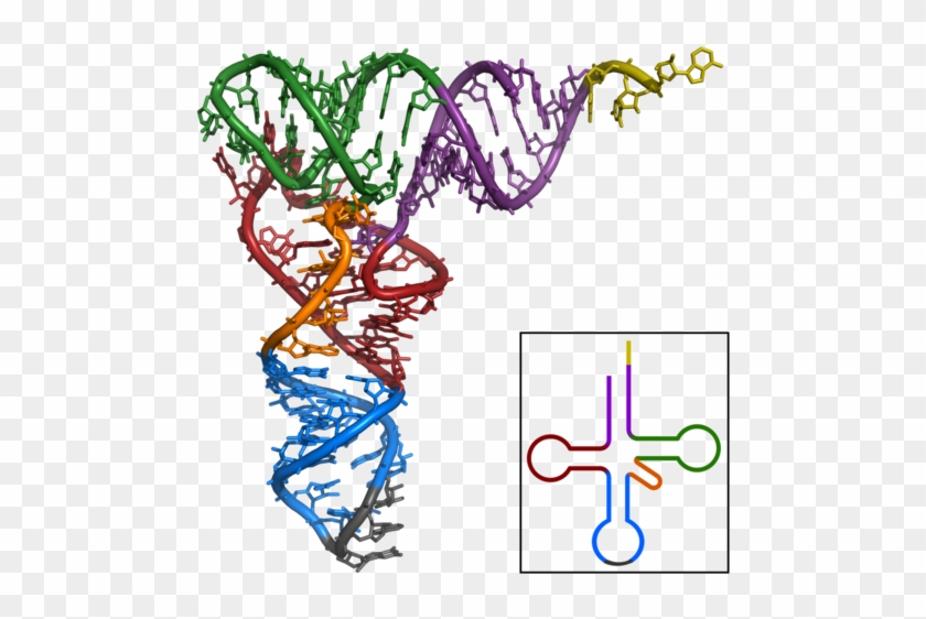 Translation - Qué Es La Biotecnología #1394149