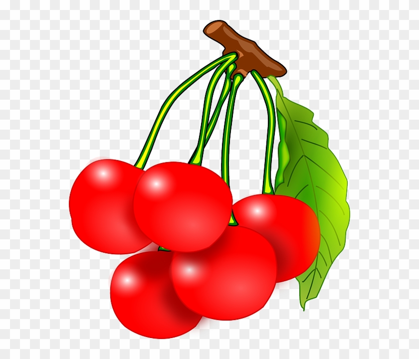 Jar - Cherry Clip Art #1395798