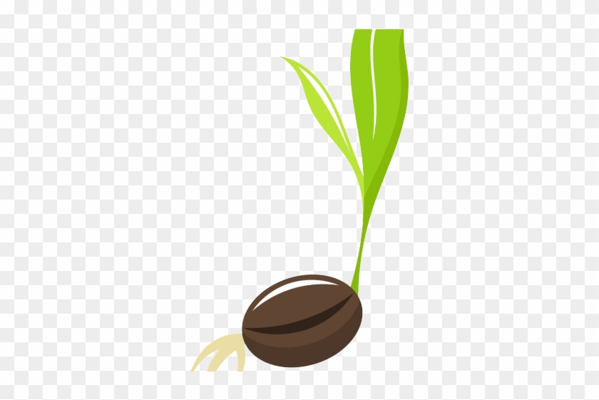 Seeds Clipart - Seed - Full Size Png Clipart Images Download