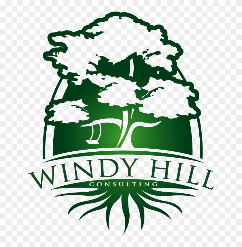 Windy Hill Consulting - Experience And Education #1397272