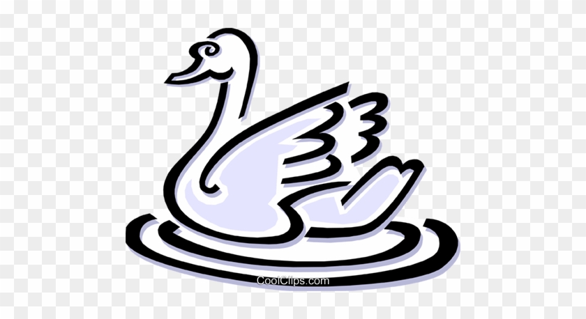 Swan Royalty Free Vector Clip Art Illustration - 火鍋 #1398988