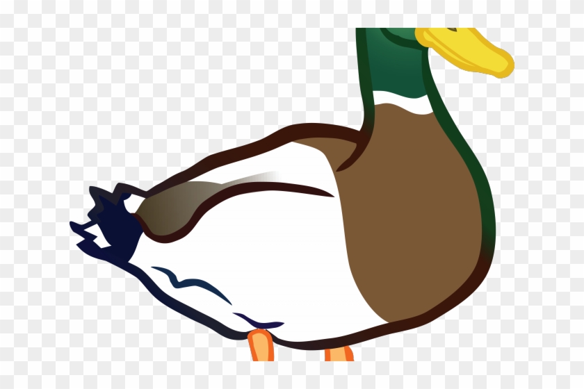 Iiii Clipart Duck - Clip Art Duck Png #1399001