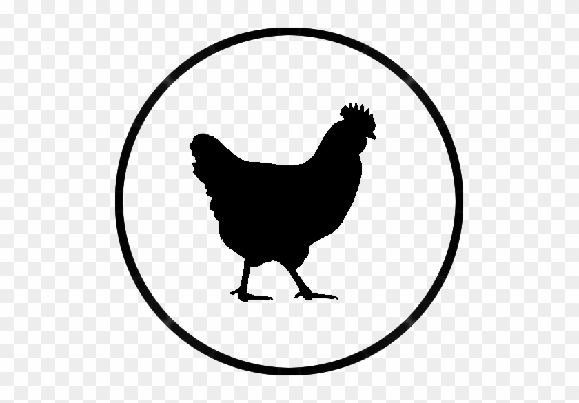 Rooster | Chicken logo, Pet logo design, Branding design logo