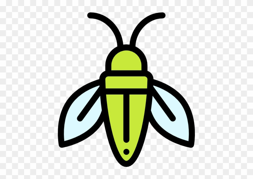 Cicada Free Icon - Cicadoidea #1404893