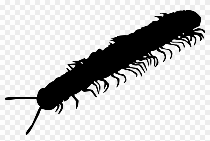 Millipede Clipart Transparent - Black Centipede Png #1404930