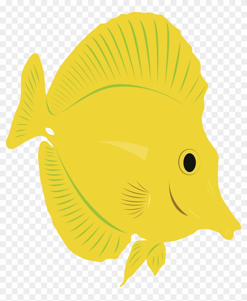 Roach Drawing Tang Fish Jpg Free Download - Recreation #1406726