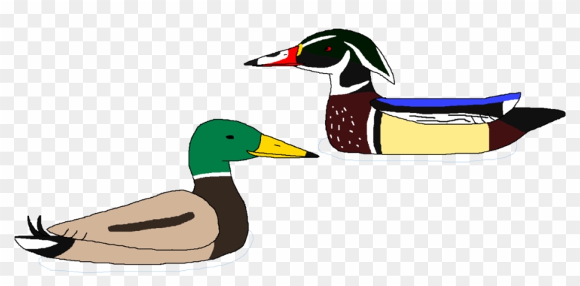 Clipart Duck Two Duck - Duck #1407472