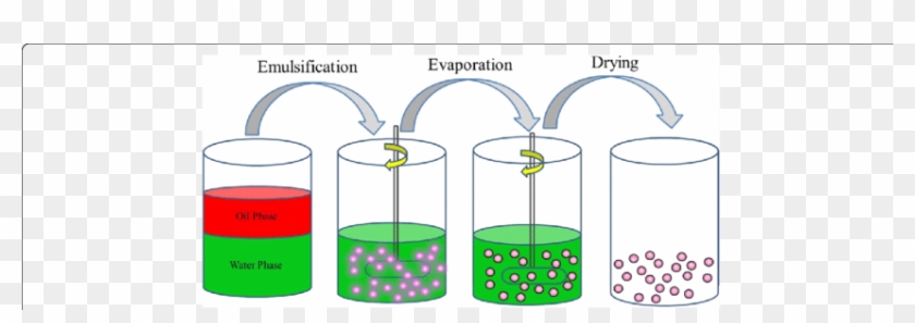 Schematic Showing The Preparation Of The Av Nano-delivery - Schematic Showing The Preparation Of The Av Nano-delivery #1408502