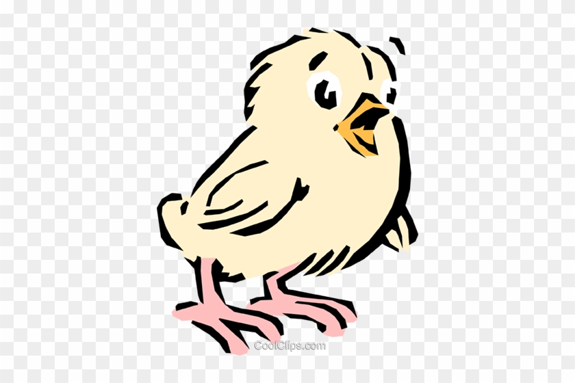 Cartoon Chick Royalty Free Vector Clip Art Illustration - Illustration #1409032