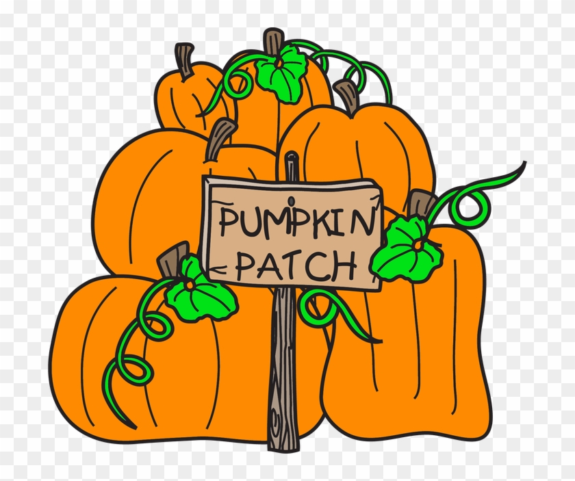 Upcoming Events - Pumpkin #1411067