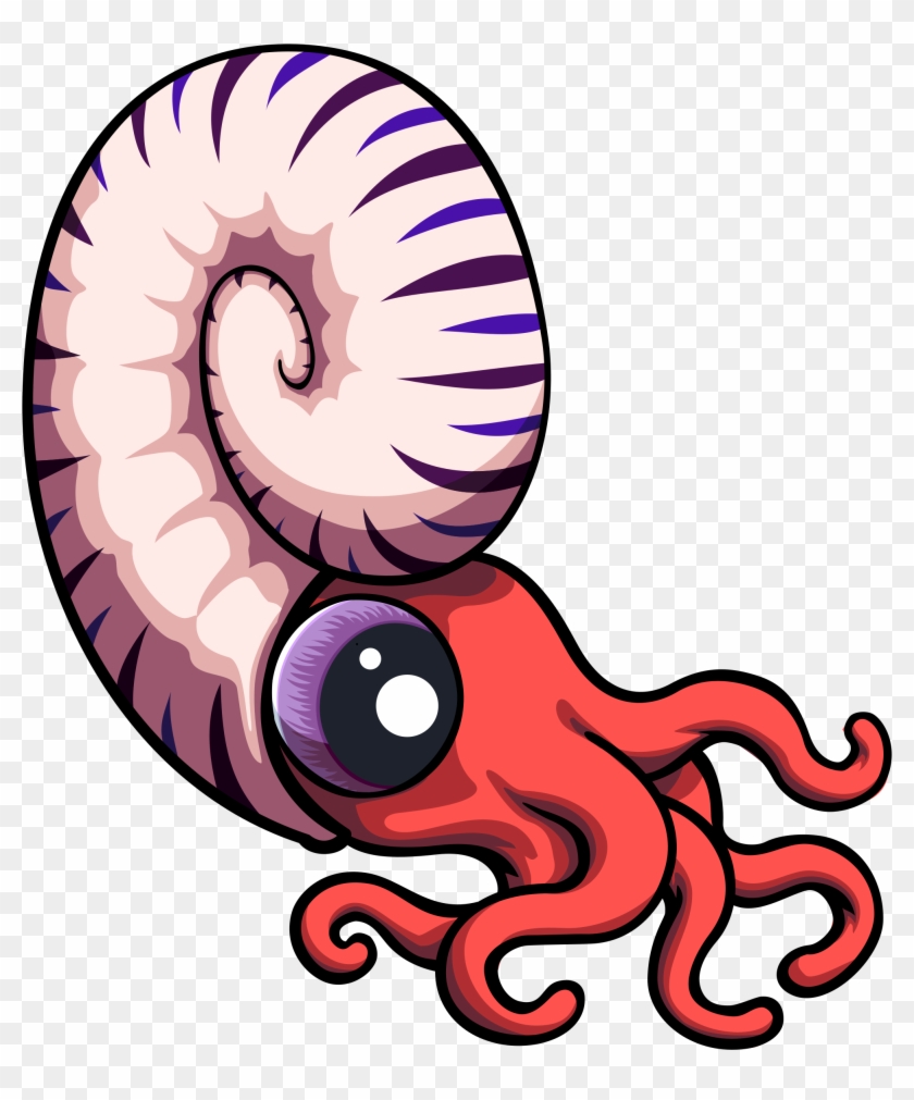 Lp Cúc Ða Bé - Ammonite Clipart #222331