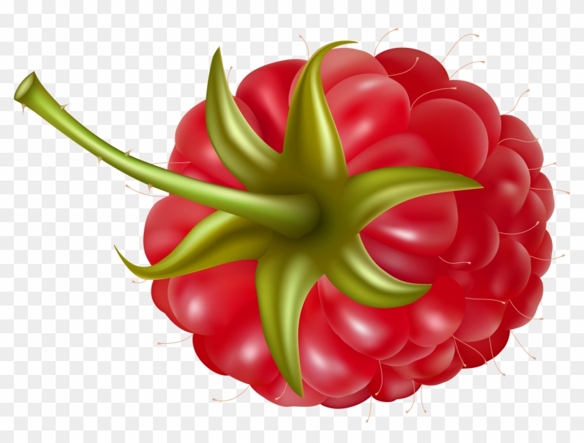 Rraspberry Png Image - Малина Рисунок Png #1411730