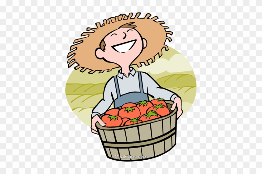 Man With A Fresh Bushel Of Tomatoes Royalty Free Vector - Vegetable Farmer Clip Art #1412709