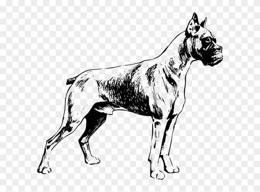 Dog Clip Art At Clker - Dibujos De Dogo Argentino #1413023