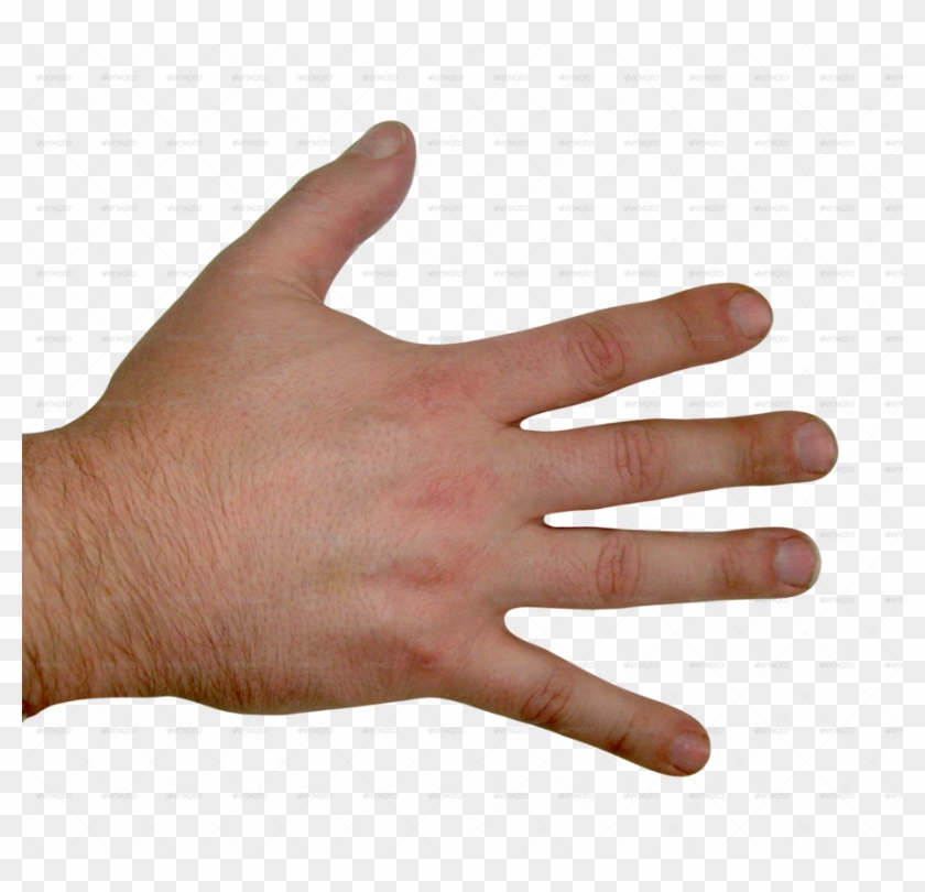 back of fist png