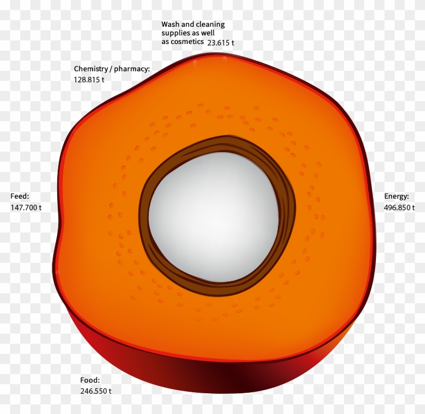 Use Of Palm Oil And Palm Kern Oil In Germany In - Circle #1413564