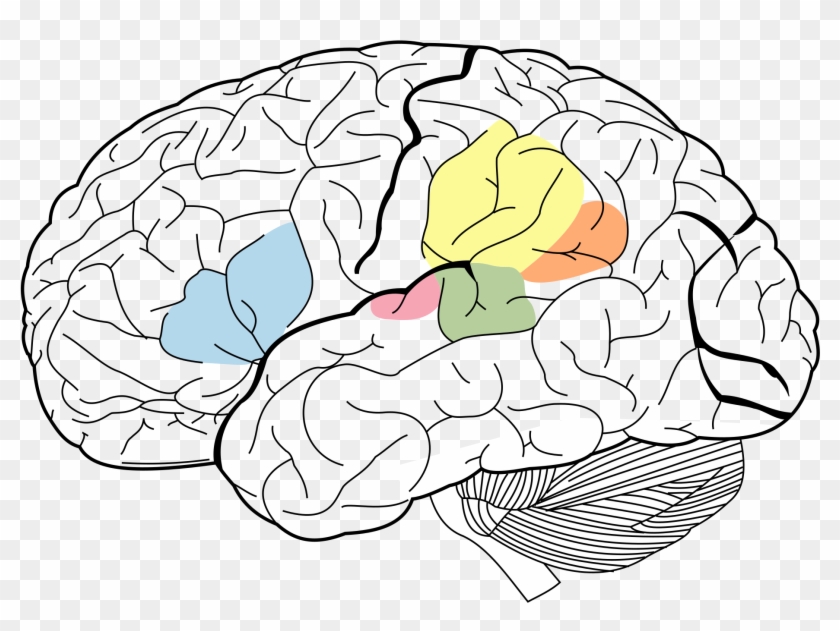 Chakras And Eastmeetswest - Broca's Area #1413695