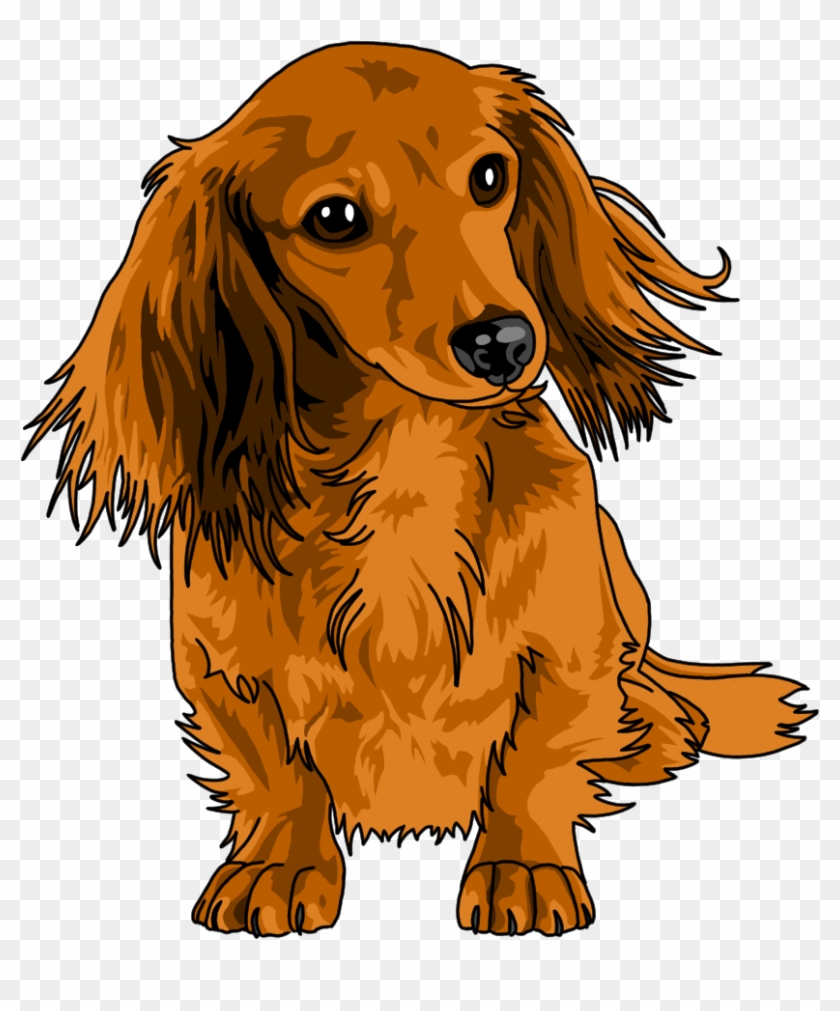 Clip Art Royalty Free Stock Carissa For My Pup And - Long Haired Dachshund Drawing #1414098