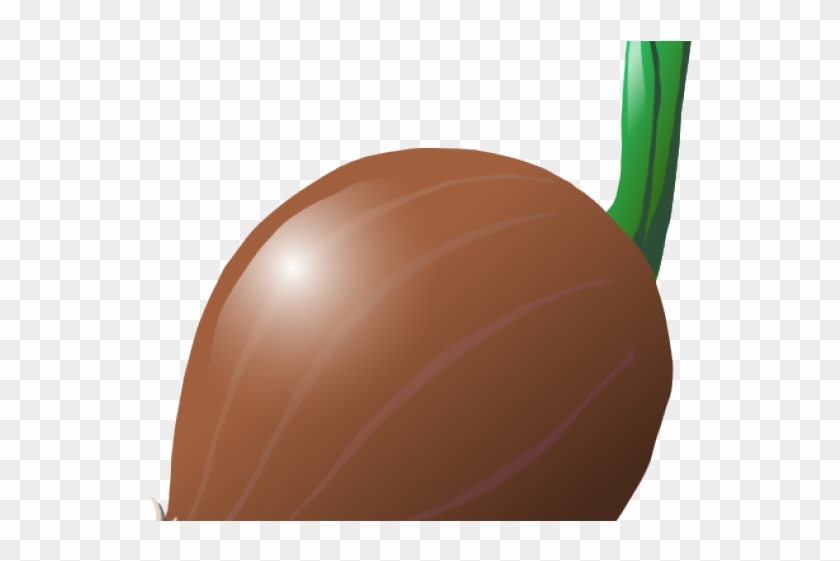 Onion Clipart Large - Illustration #1417859