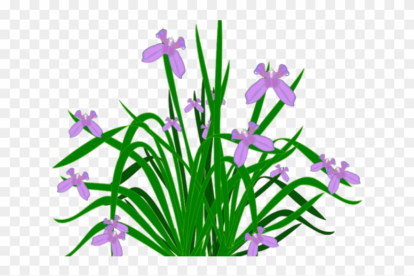 Pot Plant Clipart Healthy Plant - Plants And Flowers Clipart #1421891