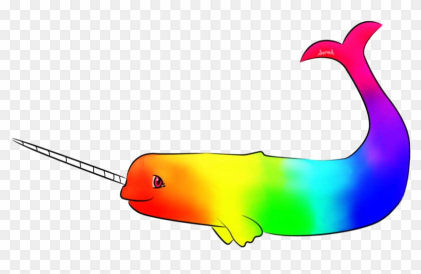 Rainbow Narwhal Free Transparent Png Clipart Images Download - cute narwhal ad's for roblox
