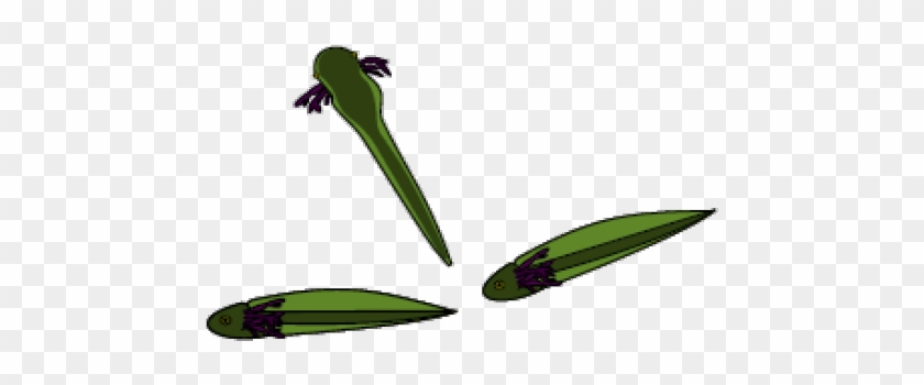 Tadpole Clipart Leg Clipart - Illustration #1427036