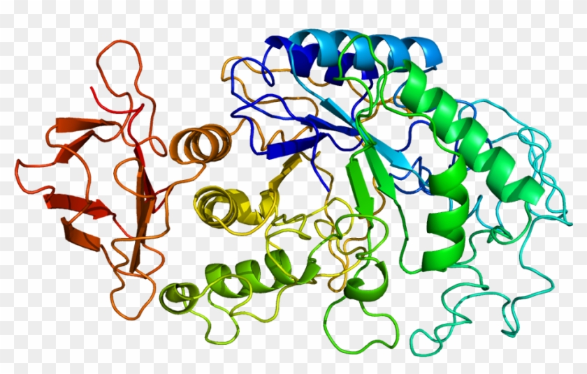 Evolution Of Molecular Biology: The Search #1429057