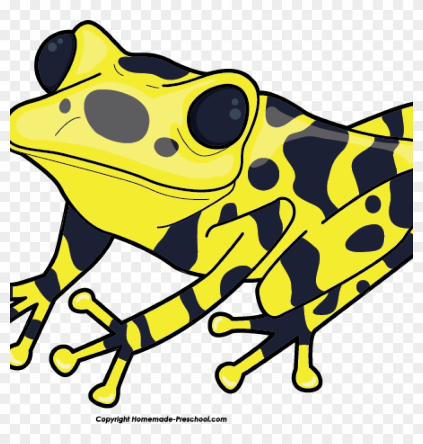 Free Fish Hatenylo Com Music - Clip Art Poison Dart Frog #1433011