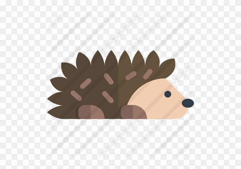 Icono Erizo Png Clipart Hedgehog Computer Icons Clip - Icono Erizo Png #1433187