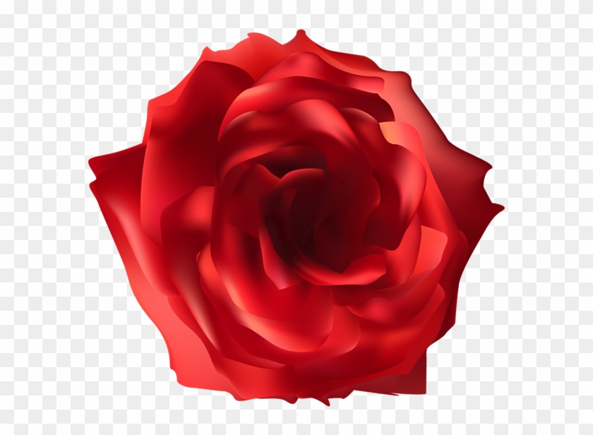 Red Rose Png Clip Art Image - Floribunda #224325