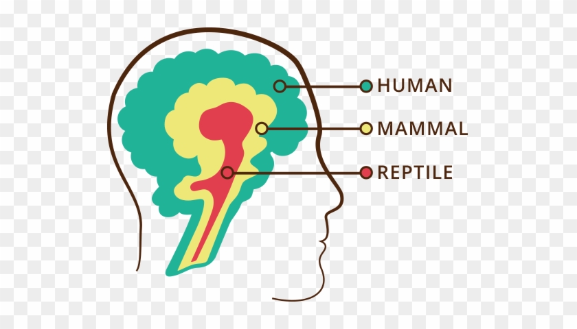 Triune Brain Pure Affair Human Silhouette Clip Art - Triune Brain Pure Affair Human Silhouette Clip Art #1436318