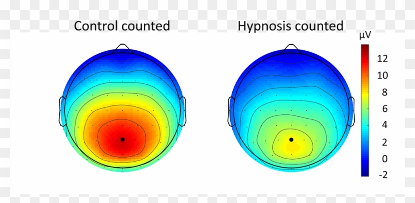 Topographical Maps For The P3b Response To The To Be - Topographic Map #1439214